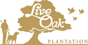 Live Oak Plantation