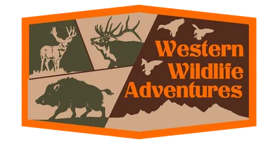 Western Wildlife Adventures