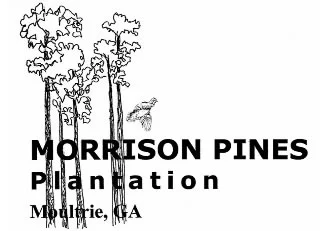 Morrison Pines Plantation
