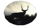 Pinnacle Peak Adventures LLC