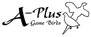 A-Plus Game Birds