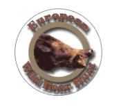 European Wild Boar Hunt