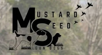 Mustard Seed Farms and Gun Dogs