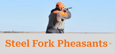 Steel Fork Pheasants
