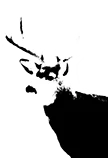 Powder Horn Outfitters