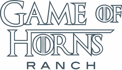 Game of Horns Ranch