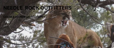 Needle Rock Outfitters