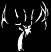 Base Camp Outfitters