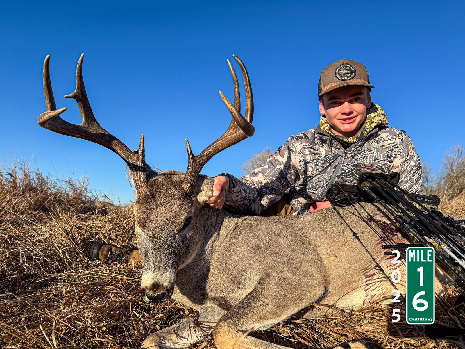 2025 Whitetail Deer