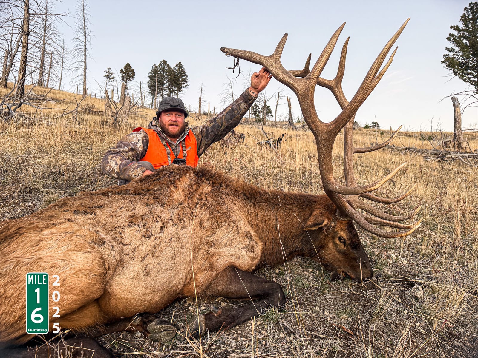 2025 Rifle Bull Elk