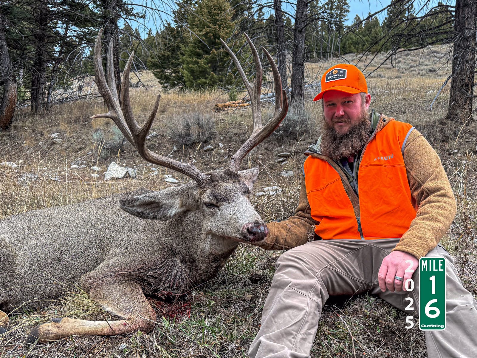 2025 Mule Deer Buck