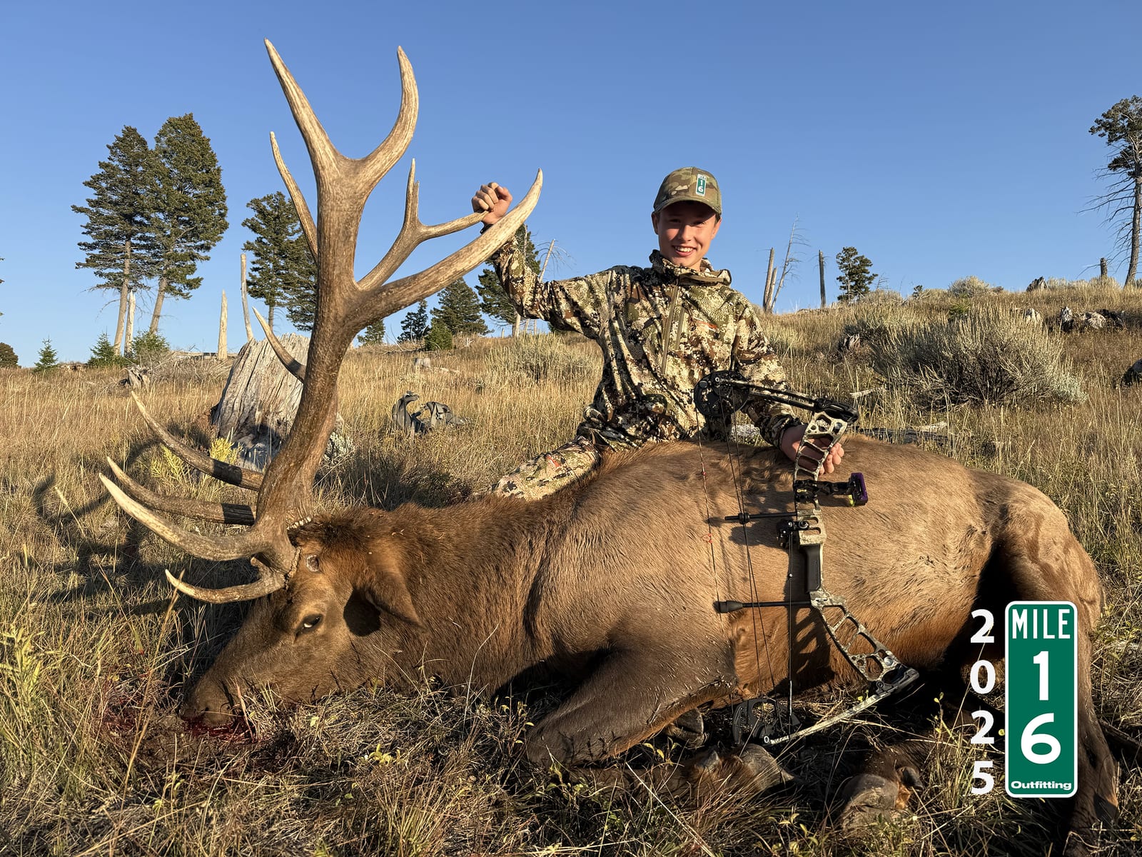 2025 Archery Bull Elk