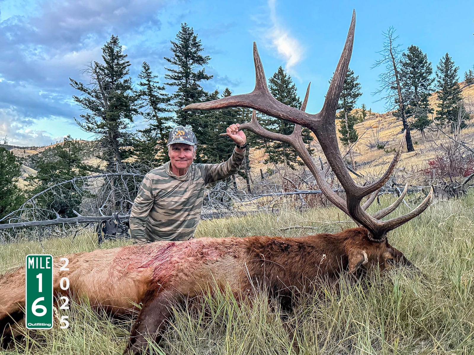 2025 Bull Elk