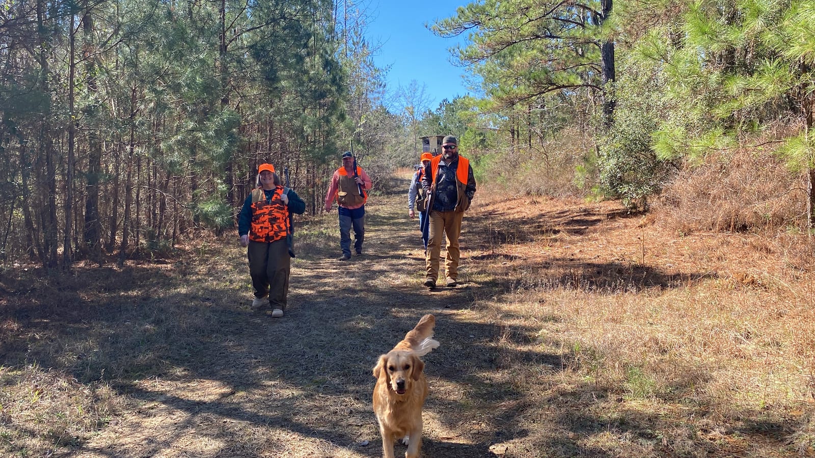 Hunters in orange vests walk with a dog on a dirt path through a wooded area.