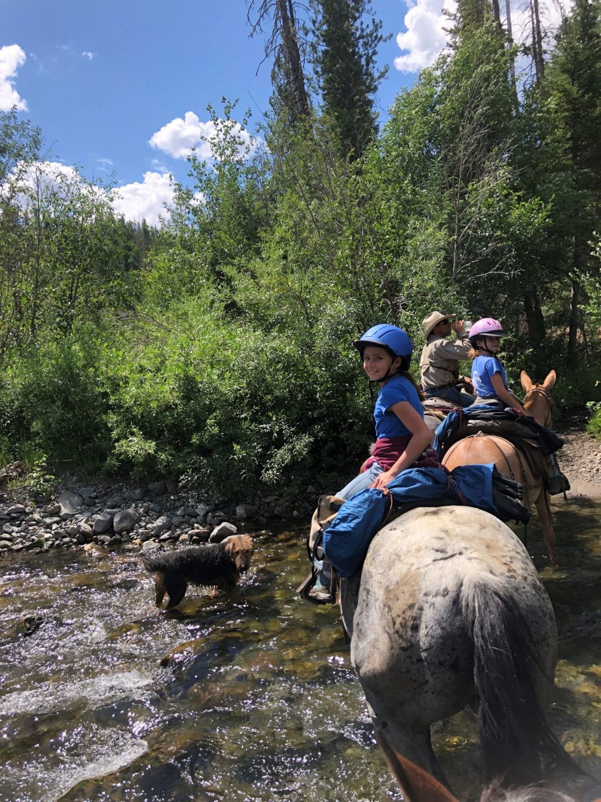Guided horse pack trips in Yellowstone country and Shoshone Forest with 307 outfitters