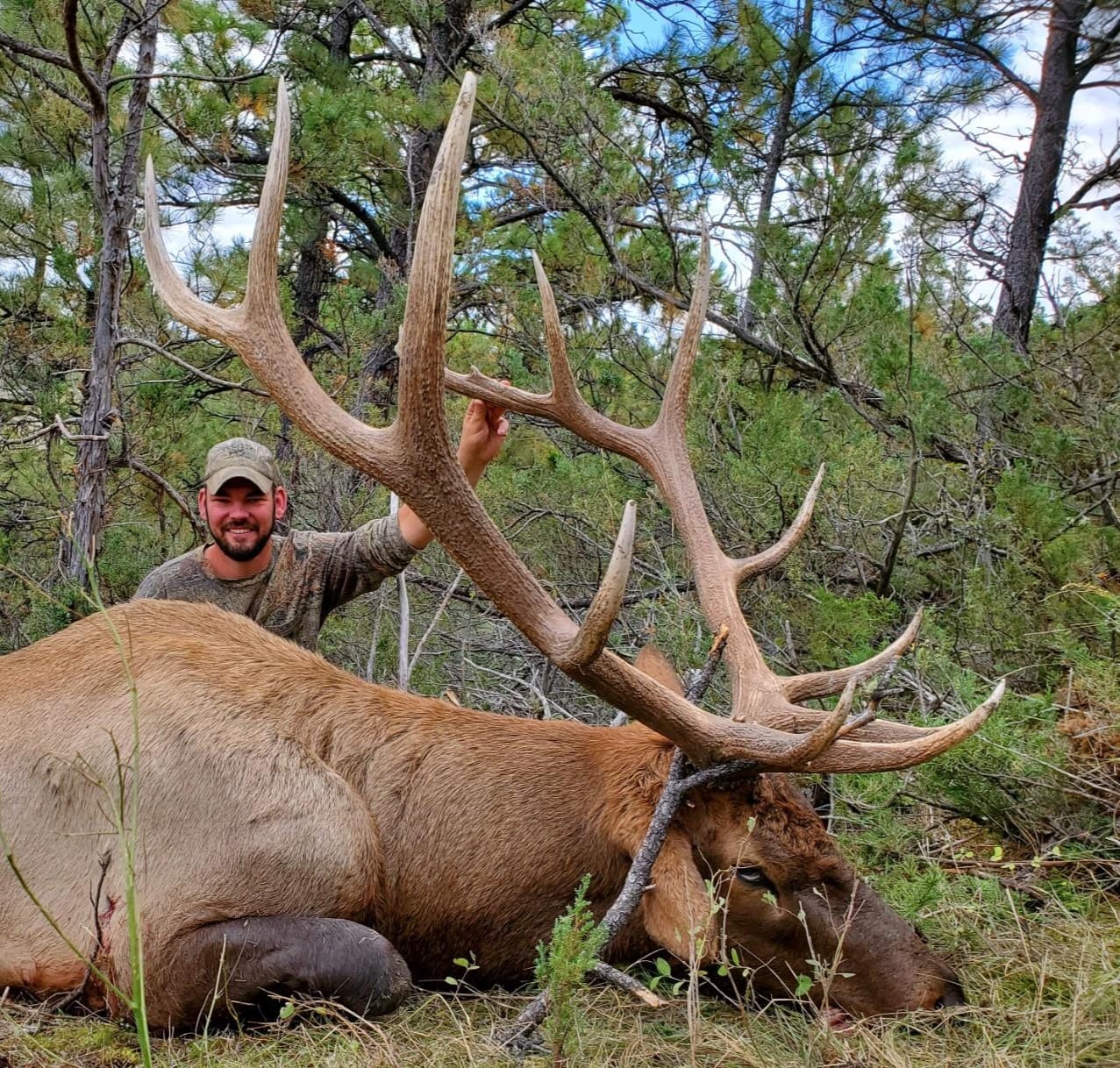 2019 archery bull elk