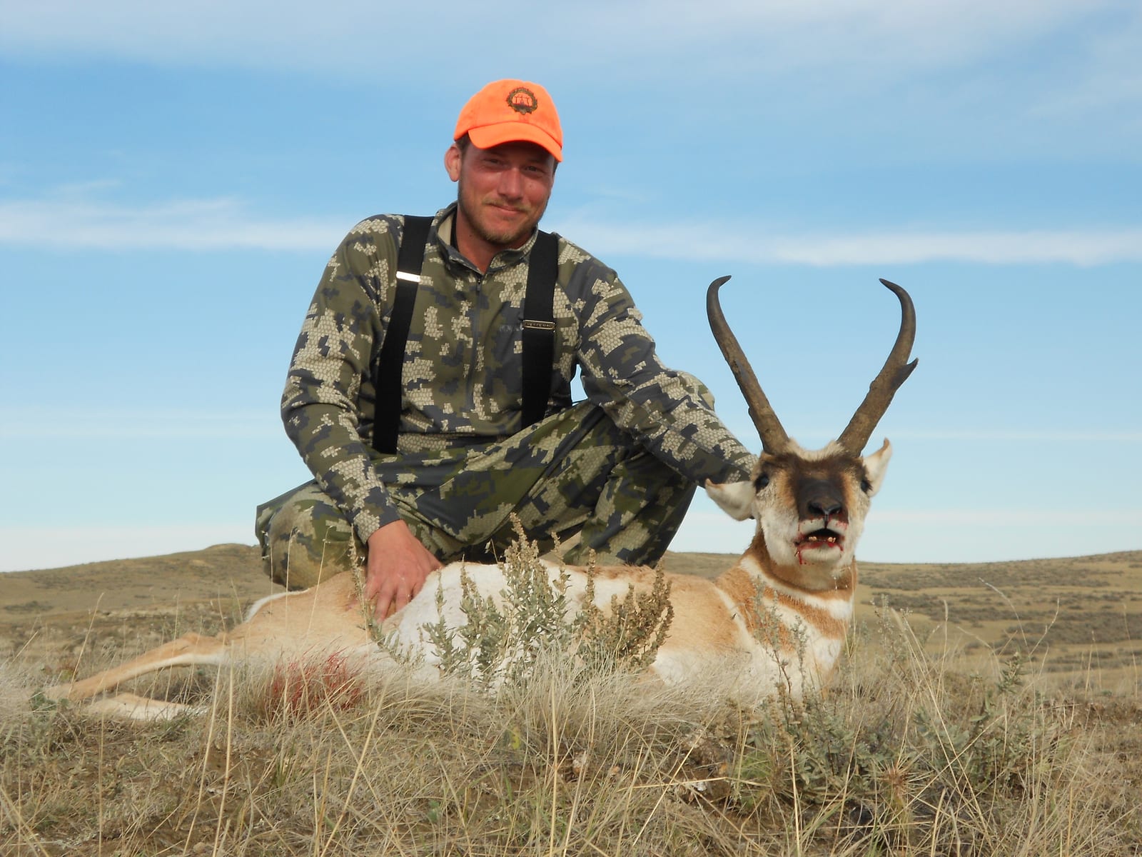 antelope 2016-1