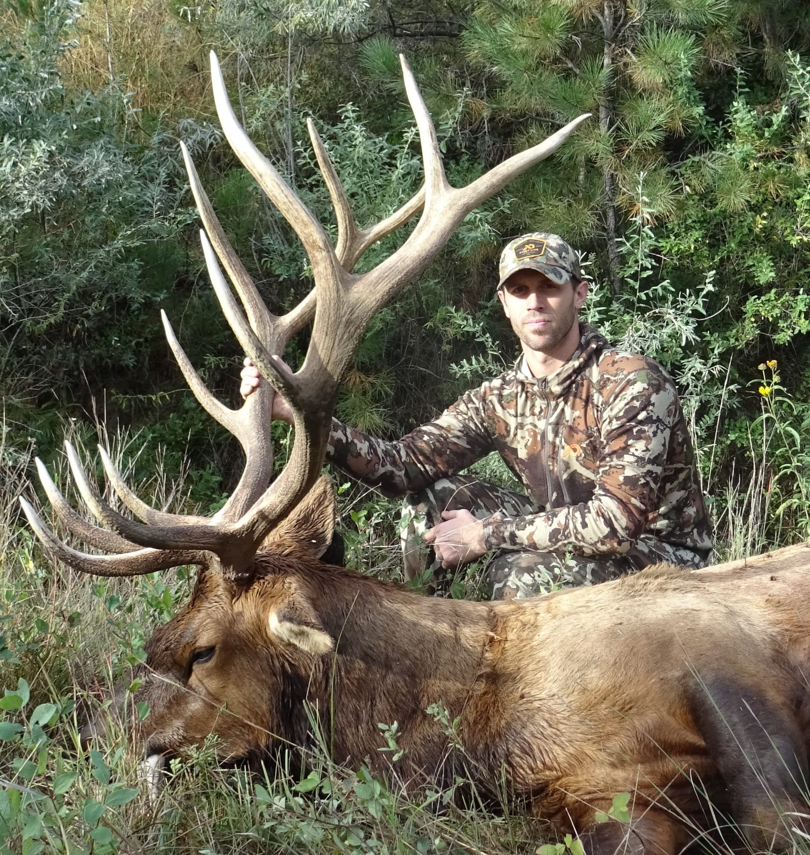 elk 2019-12_edited_edited