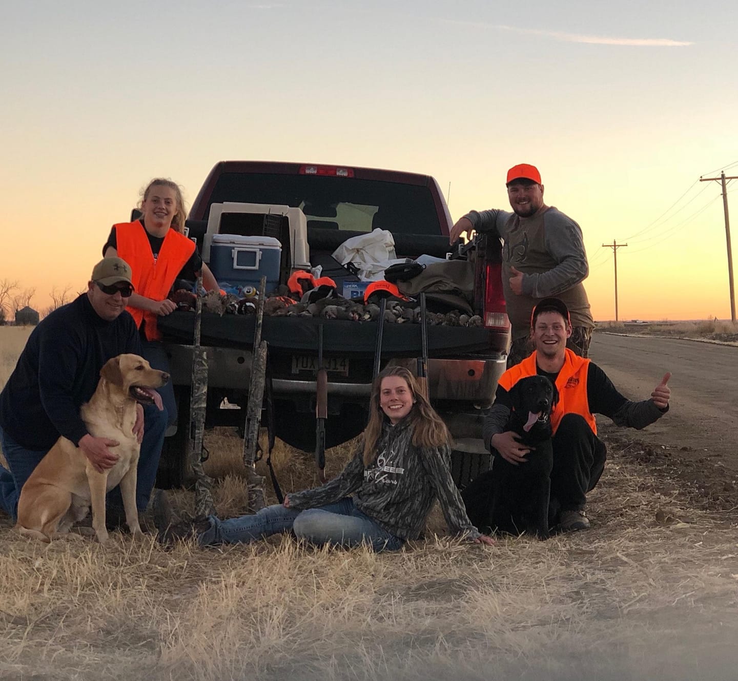 A-Plus Game Birds Hunt