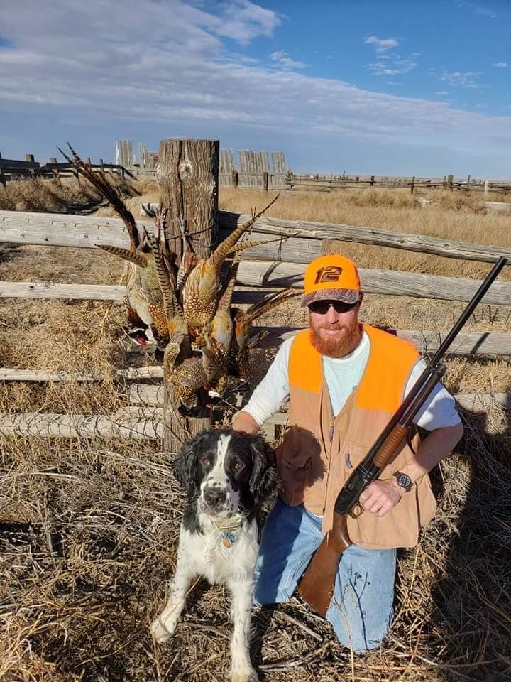 A-Plus Game Birds Hunt