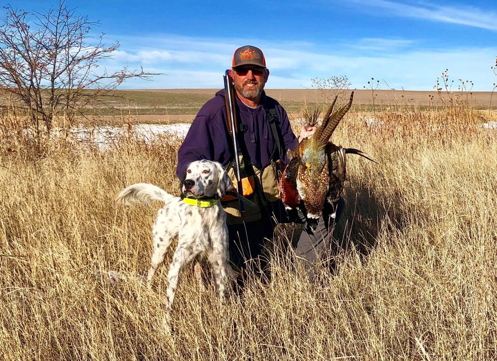 A-Plus Game Birds Hunt