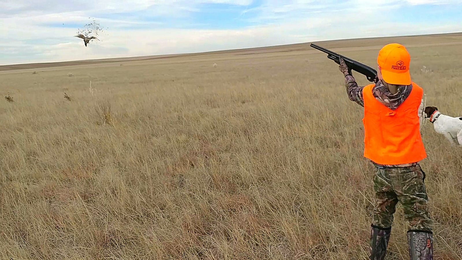 A-Plus Game Birds Hunt