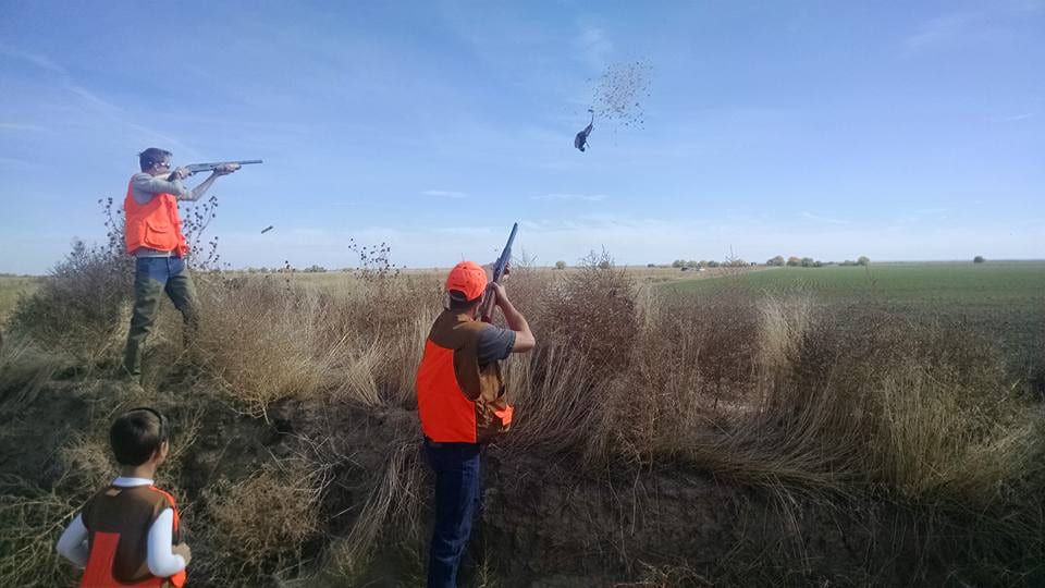 A-Plus Game Birds Hunt