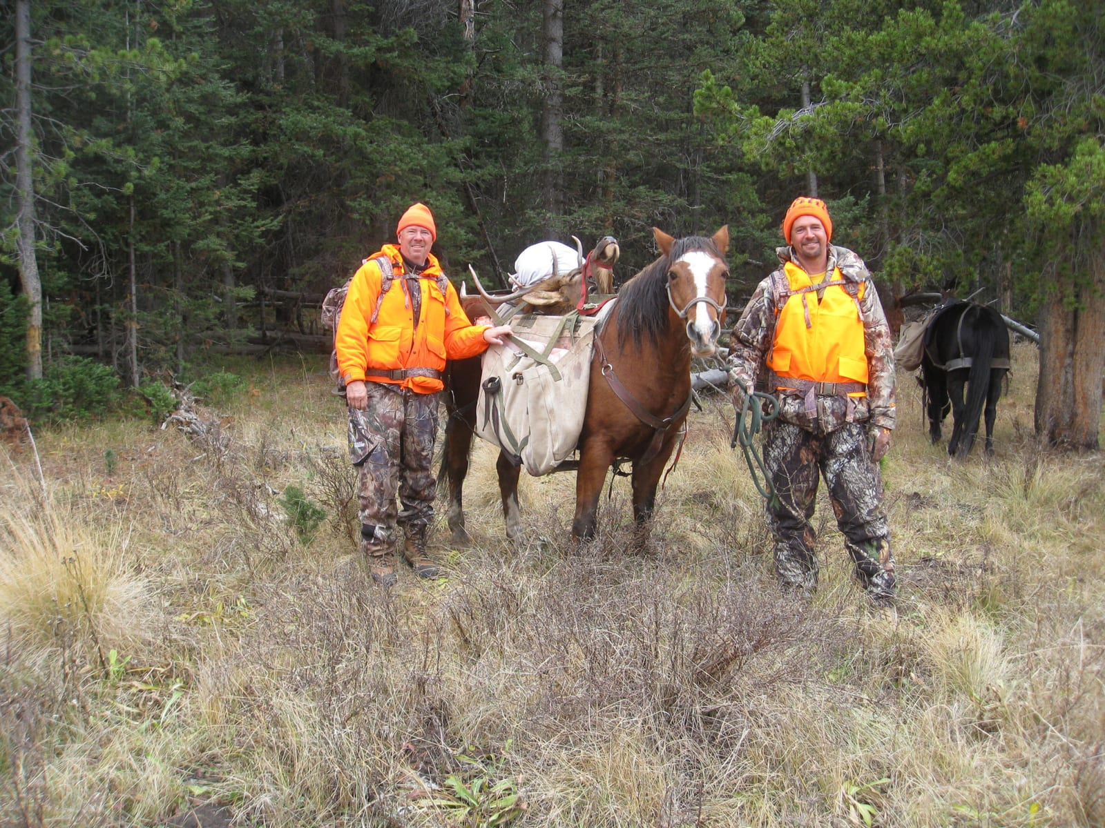 Two hunters in orange vests stand with packed horses in a wooded, grassy area.