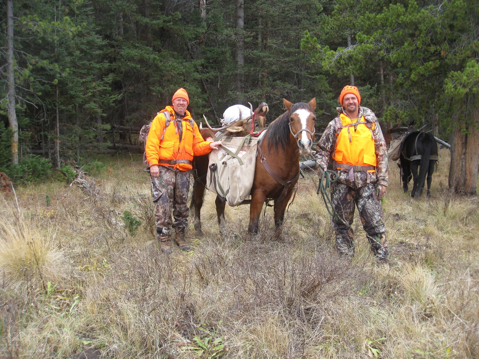 Two hunters in orange vests stand with pack horses in a forest.