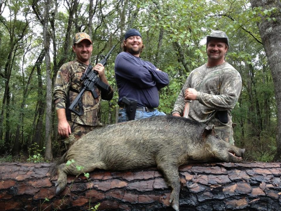 Three hunters pose with a harvested wild boar on a log in a forest.