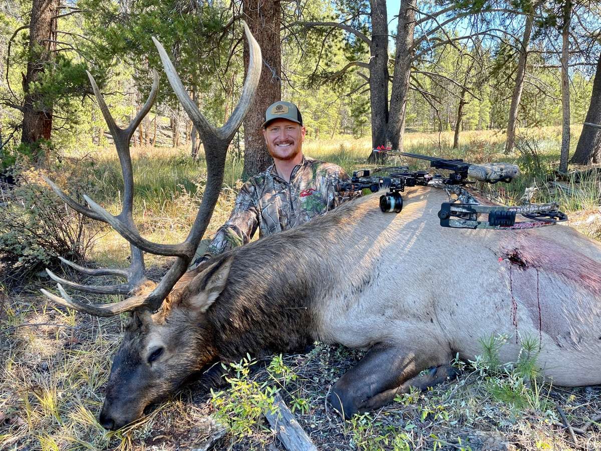 Archery Elk Hunting