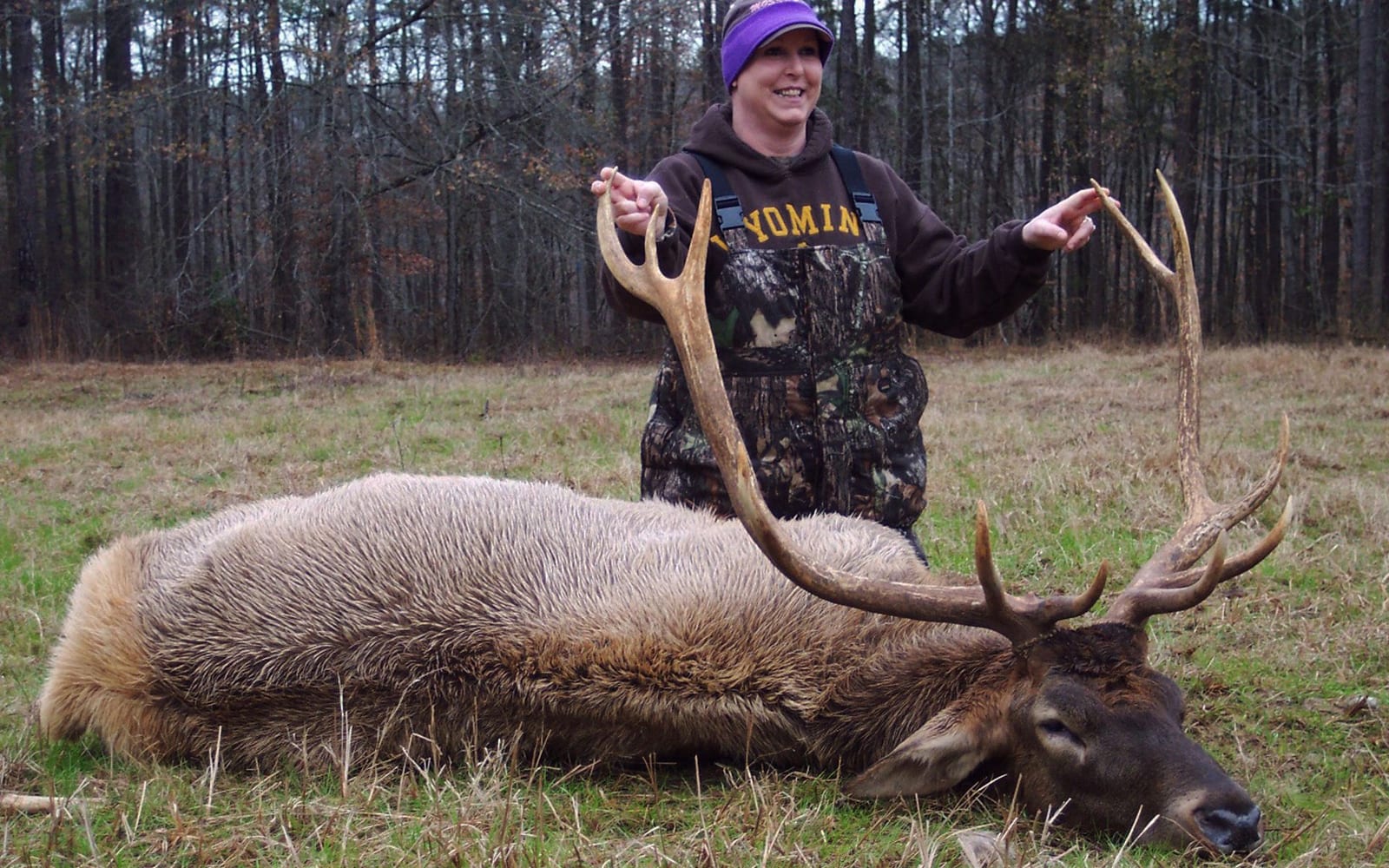 Alabama hunting for bull elk