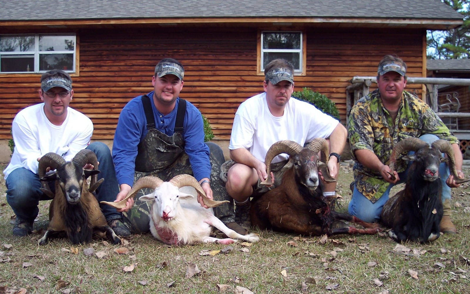 Ram hunting