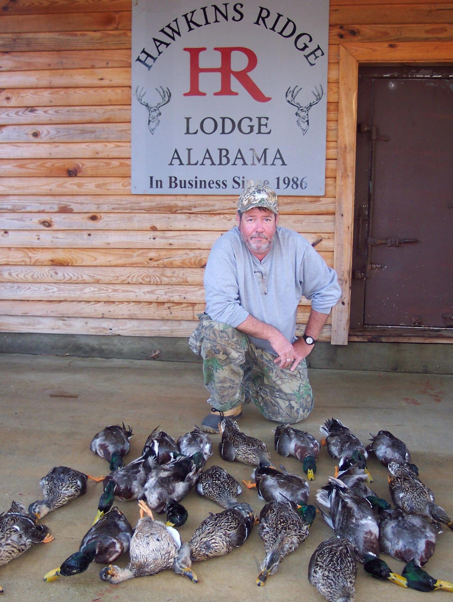 Mallard Duck Alabama hunts