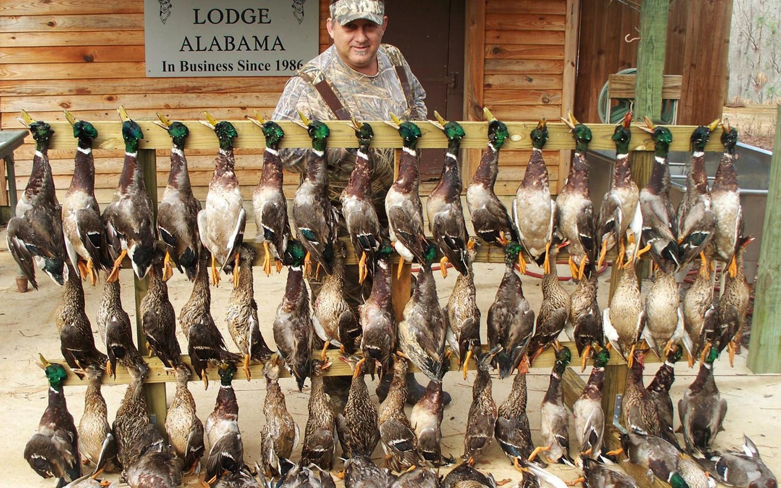 Alabama duck hunting trips