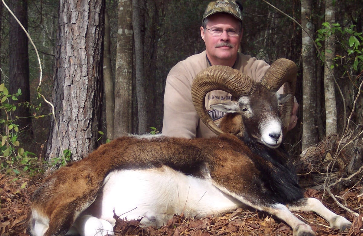 Alabama rum hunting