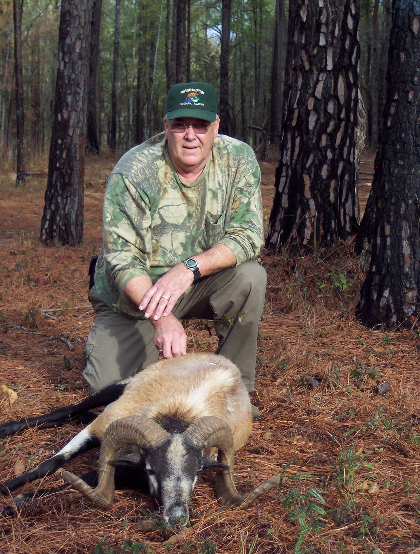 Sheep hunting Alabama outfitter