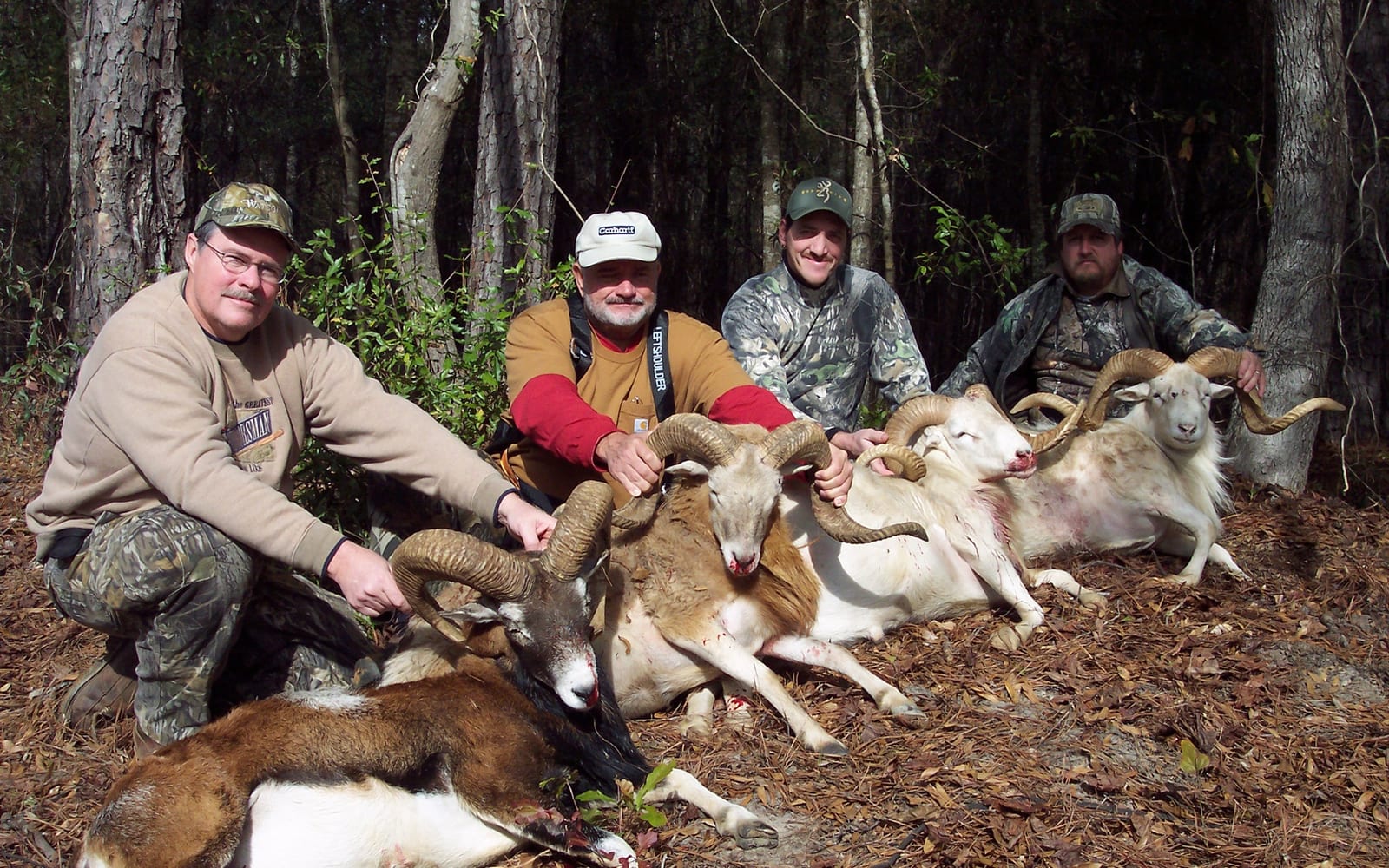 Ram hunting Alabama