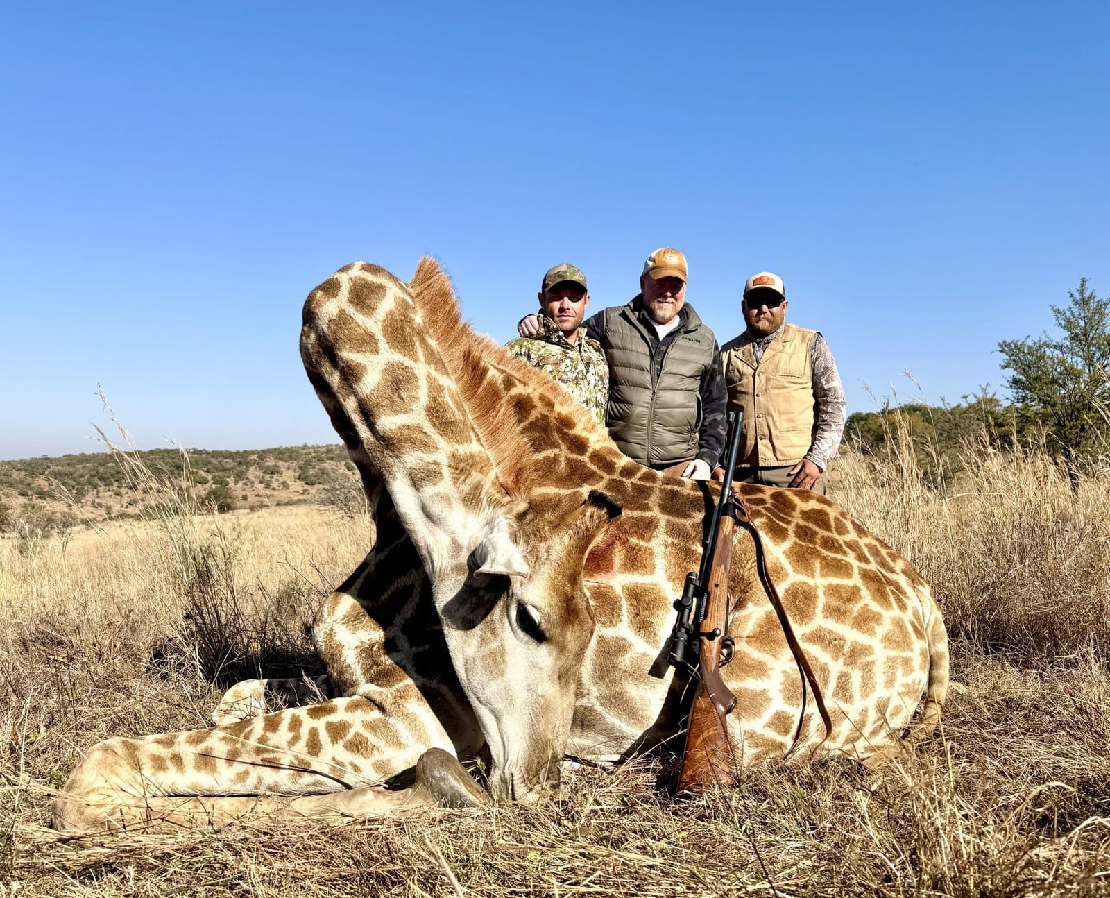 Africa hunting