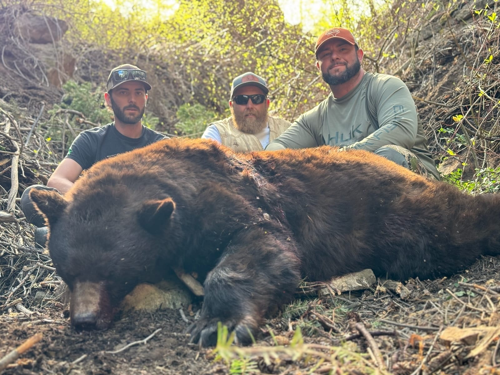 Three hunters pose with a harvested black bear.
