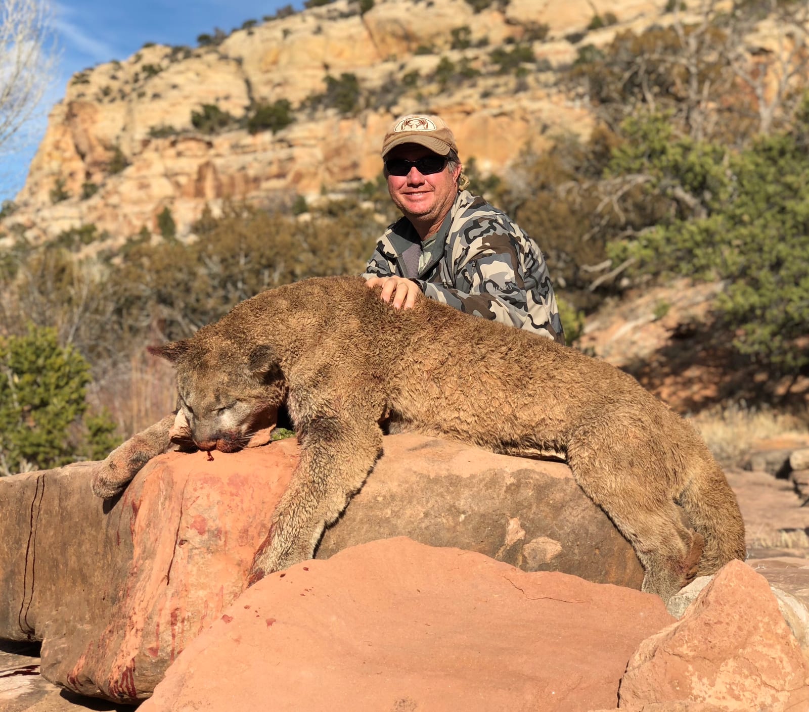 Utah cougar hunt with Allout Guiding & Outfitting