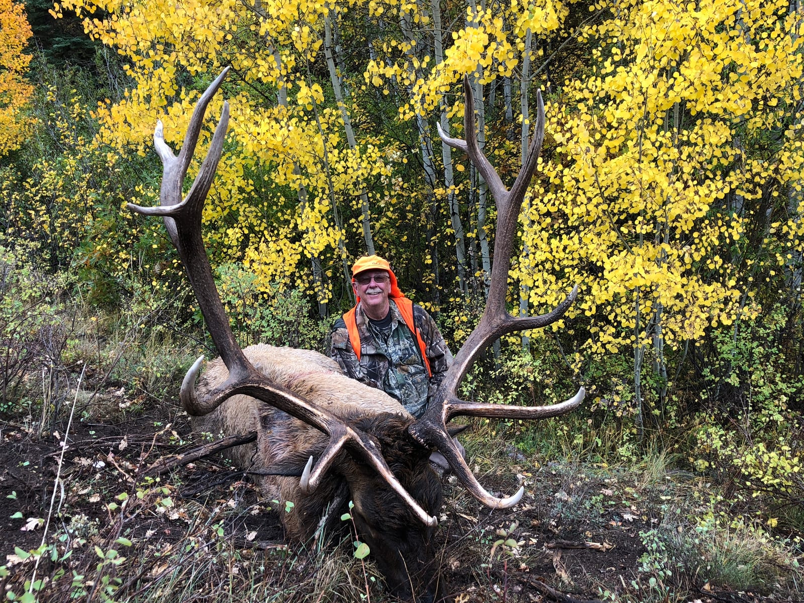 Darrell unit 61 elk