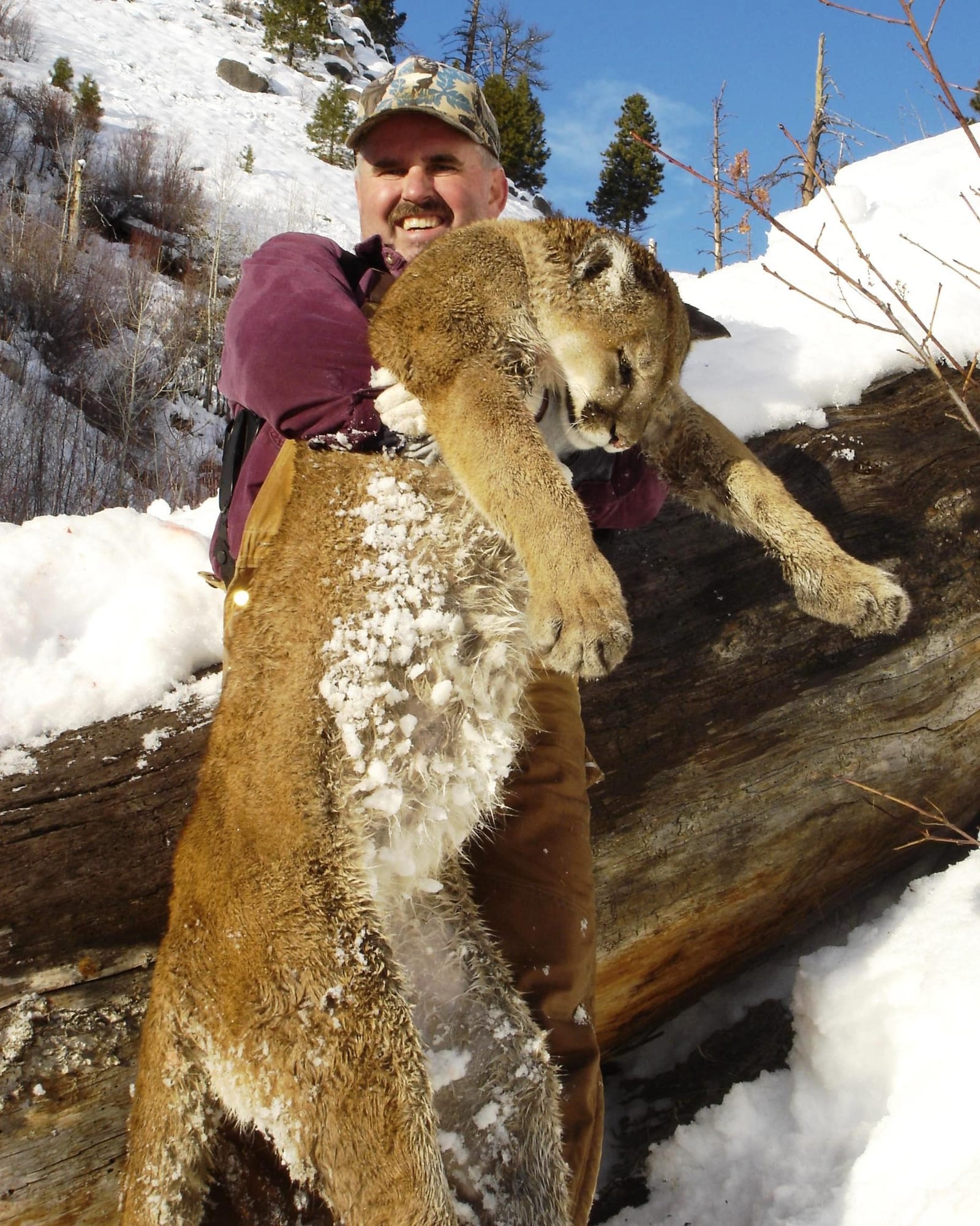 A hunter holds a harvested mountain lion in a snowy, mountainous landscape.