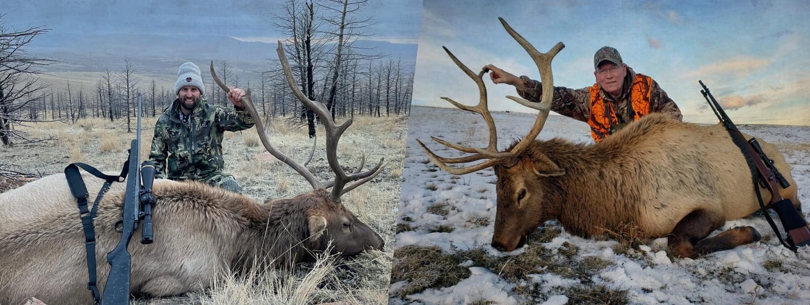Guided deer hunting in Montana
