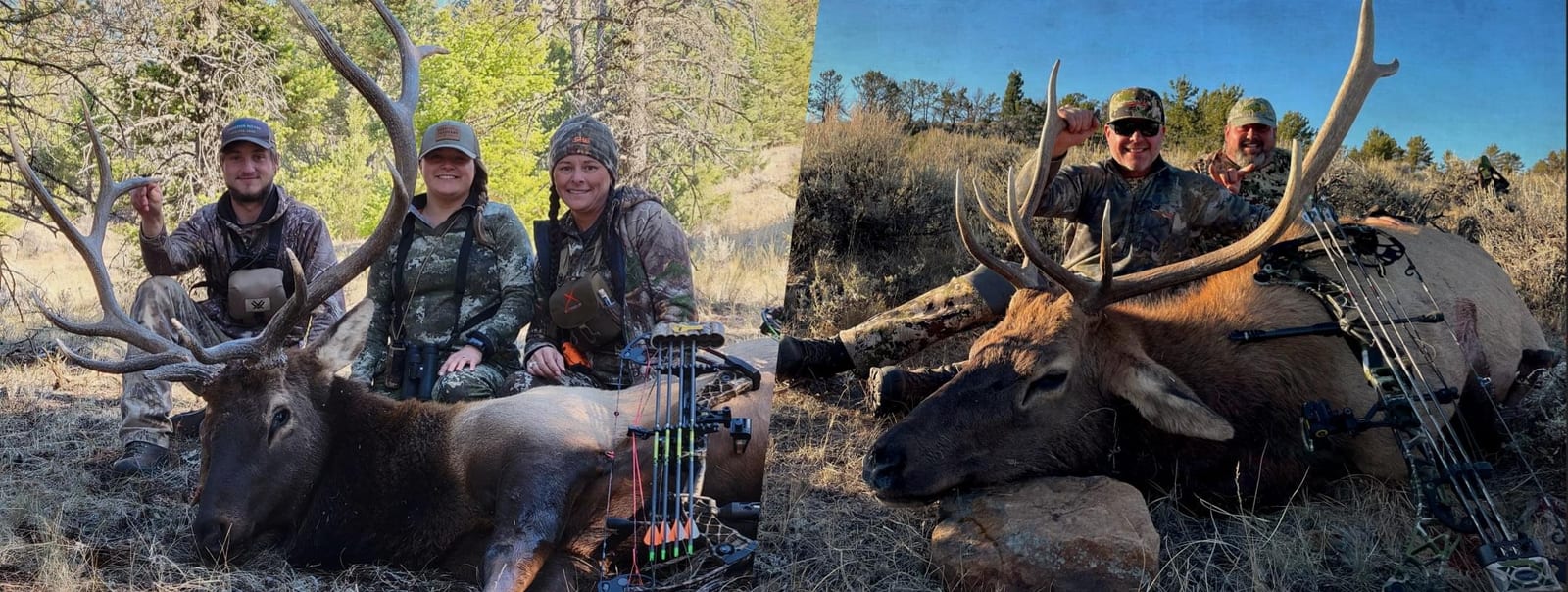 Guided hunts in White Sulphur Springs, Montana