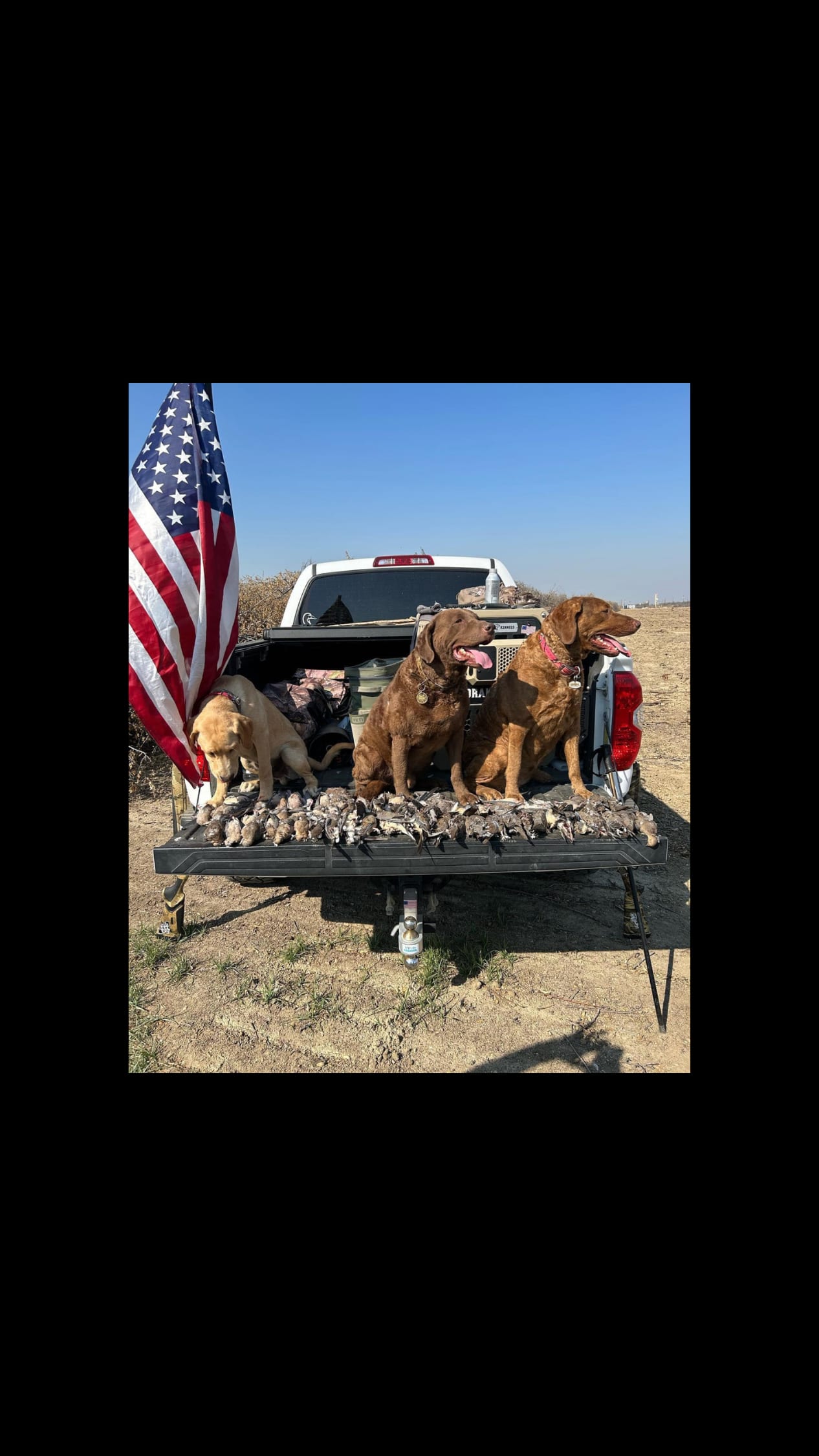 ALL DAY DOVE HUNTING $225 Per gunhunter _ Ladies and juniors pay $200 hunter No none-hunt