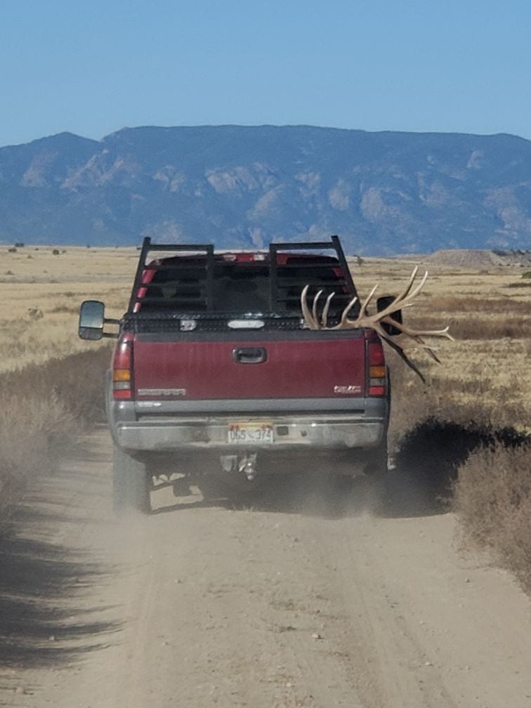 truck with elk antlers
