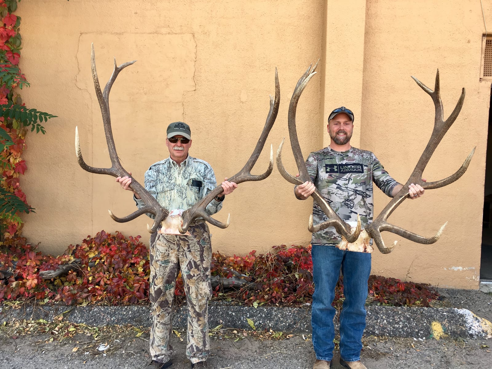 massive elk antlers