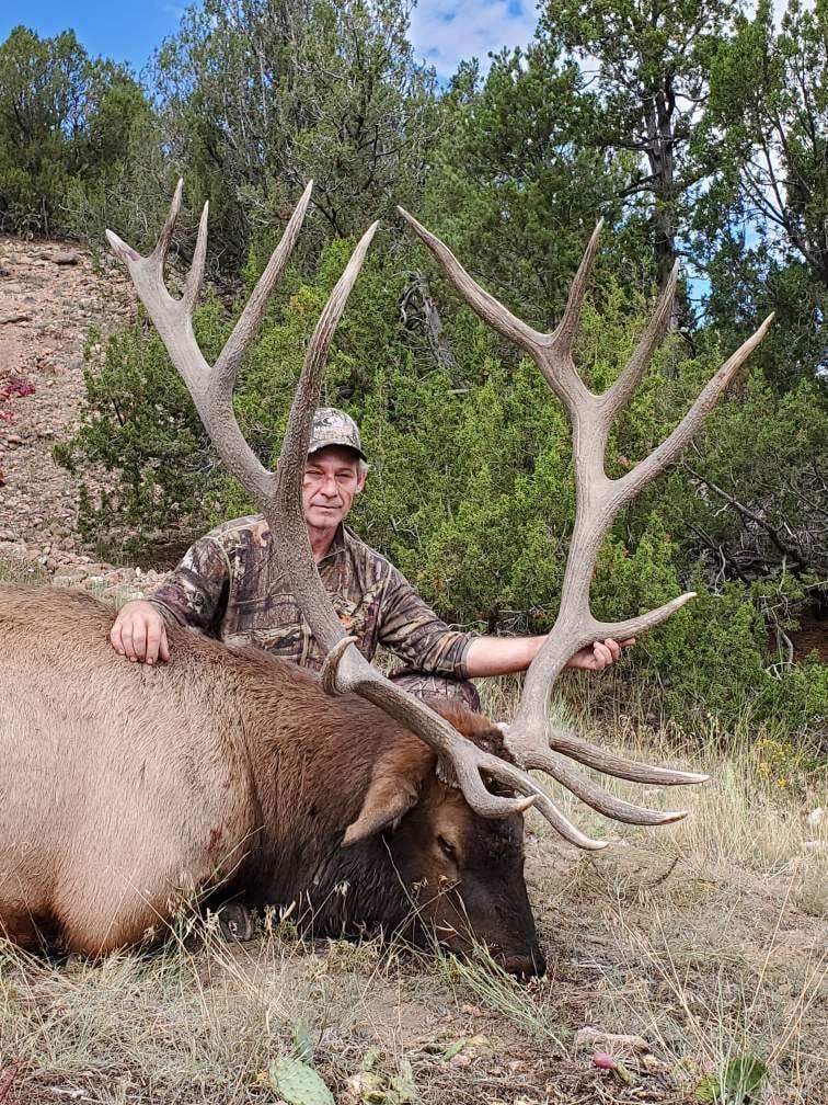 Colorado Elk Hunting