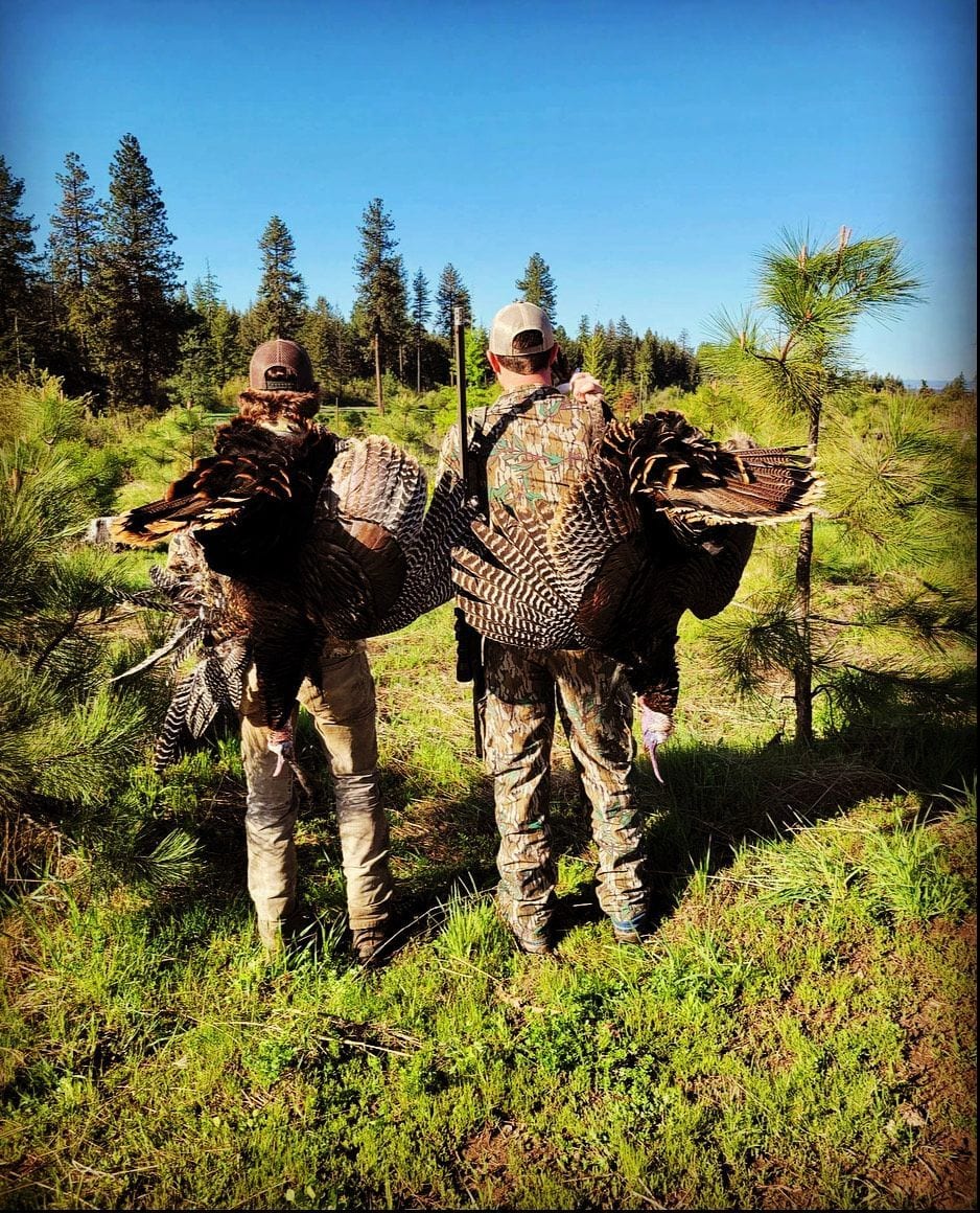 Two hunters carry harvested wild turkeys through a grassy field with trees in the background.